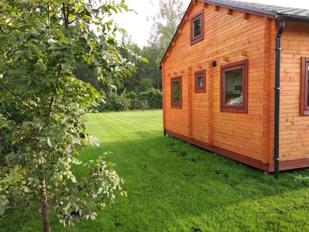 Family Summer House In Юрмала Екстер'єр фото